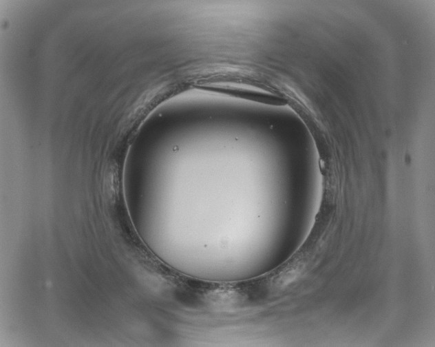 X0000064750119200602101222