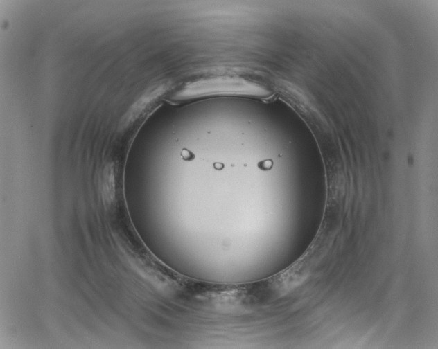 X0000064750120200602101222