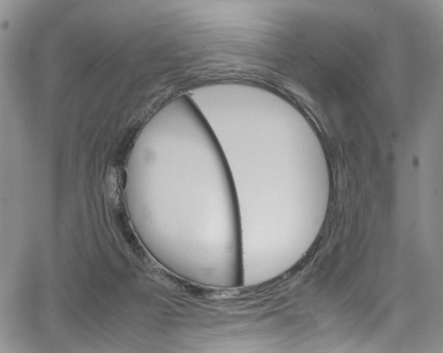 X0000064750121200602101222