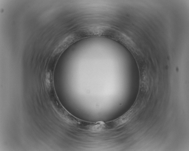 X0000064750122200602101222