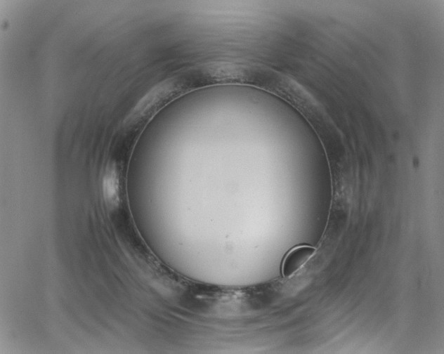 X0000064750124200602101222