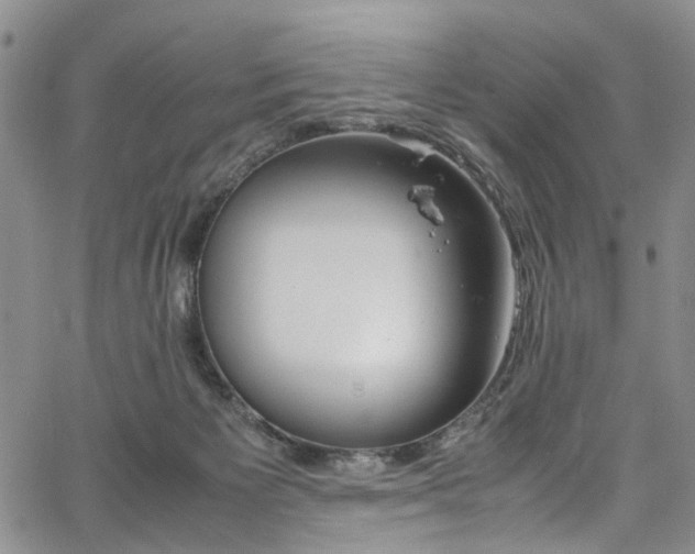 X0000064750125200602101222