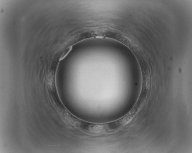 X0000064750129200602101222