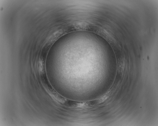 X0000064750130200602101222