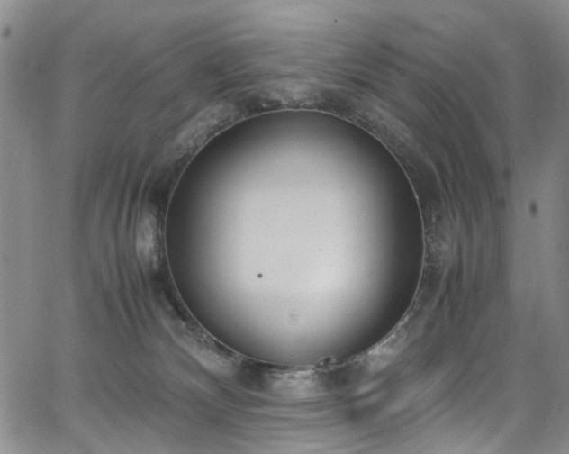 X0000064750132200602101222