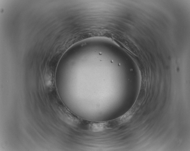 X0000064750134200602101222