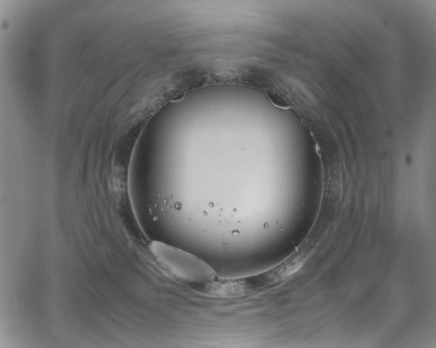 X0000064750135200602101222