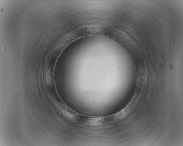 X0000064750136200602101222