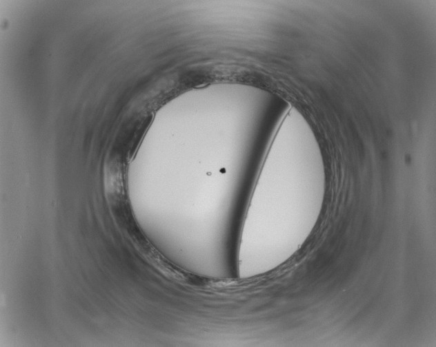 X0000064750137200602101222