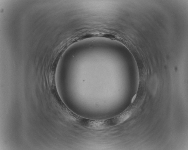 X0000064750139200602101222