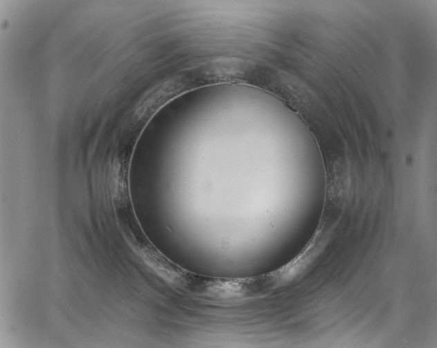 X0000064750140200602101222