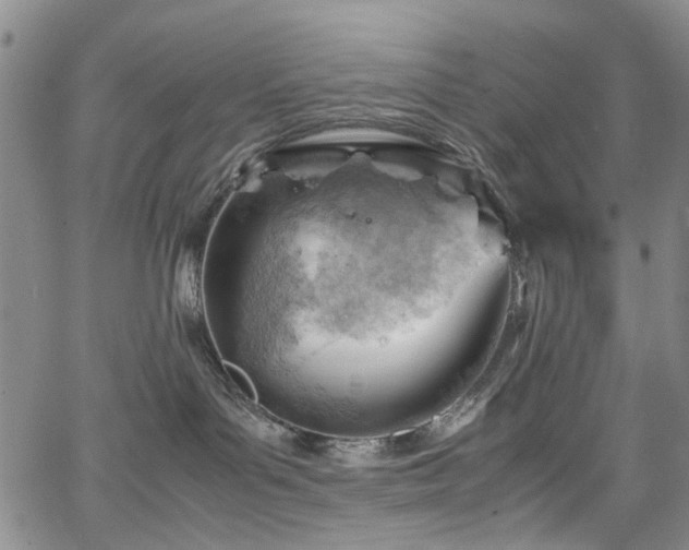 X0000064750143200602101222