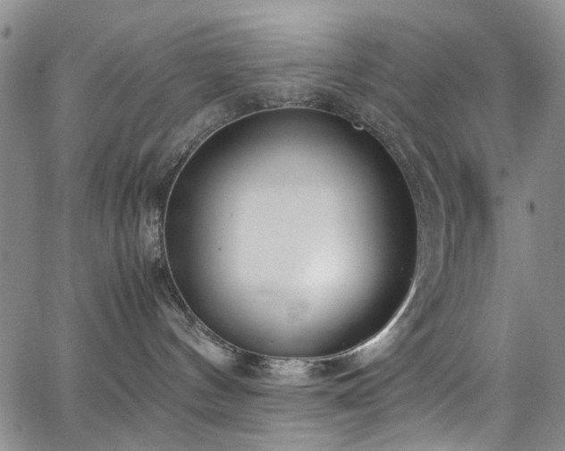 X0000064750144200602101222