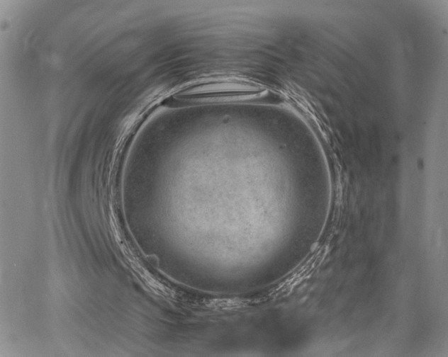 X0000064750145200602101221