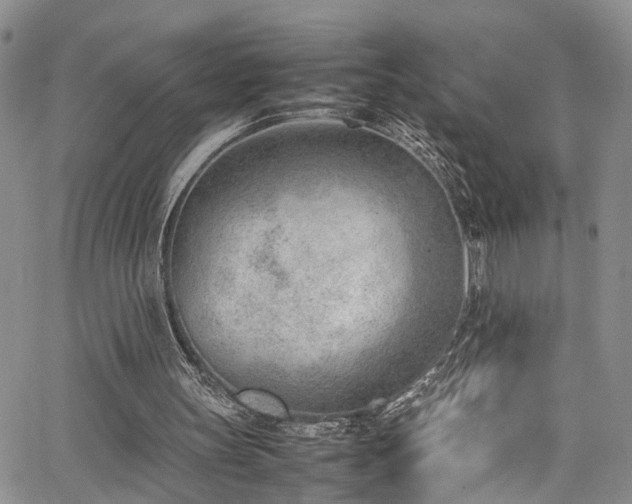 X0000064750147200602101221