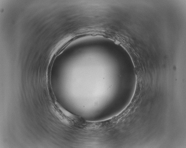 X0000064750148200602101221