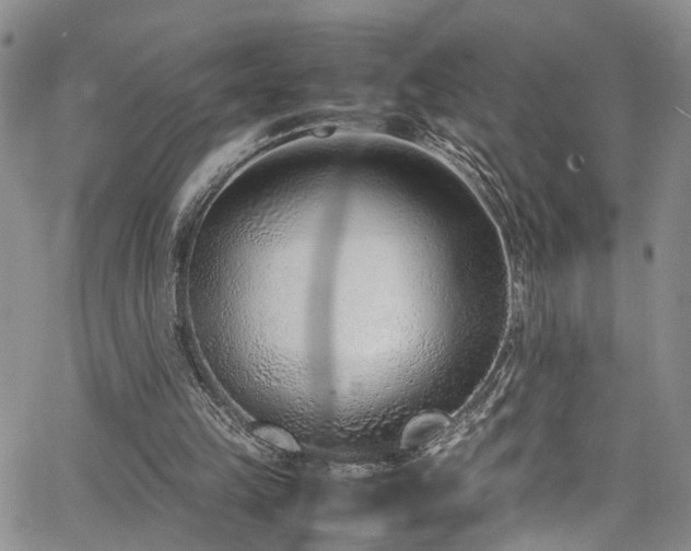 X0000064750149200602101221