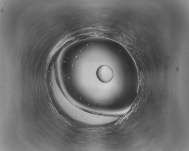 X0000064750150200602101221