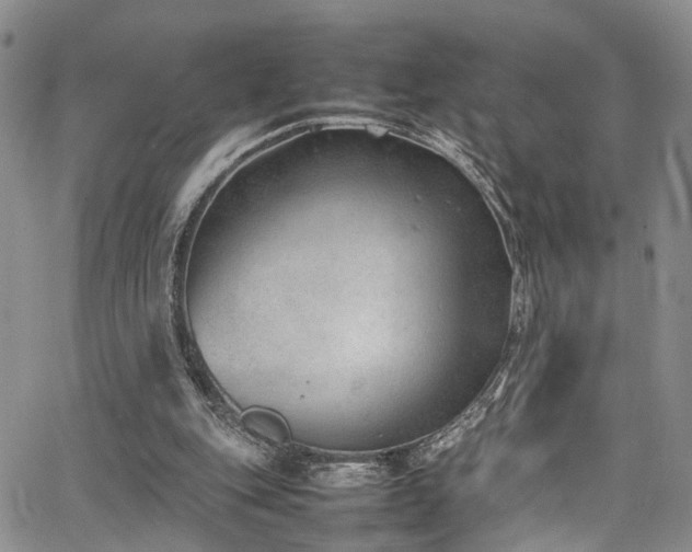 X0000064750151200602101221