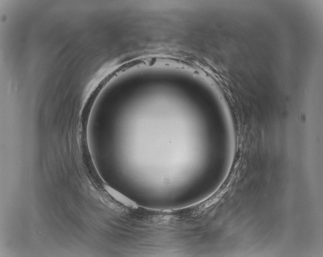 X0000064750152200602101221