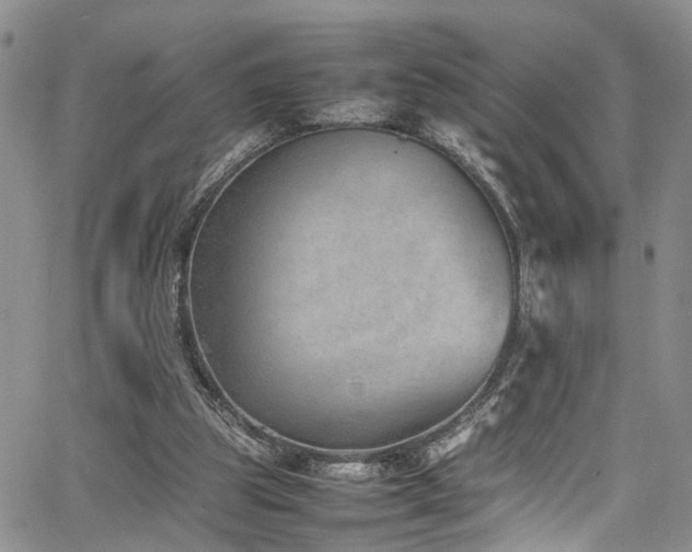 X0000064750153200602101221