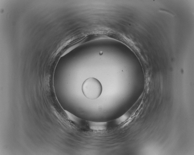 X0000064750154200602101221