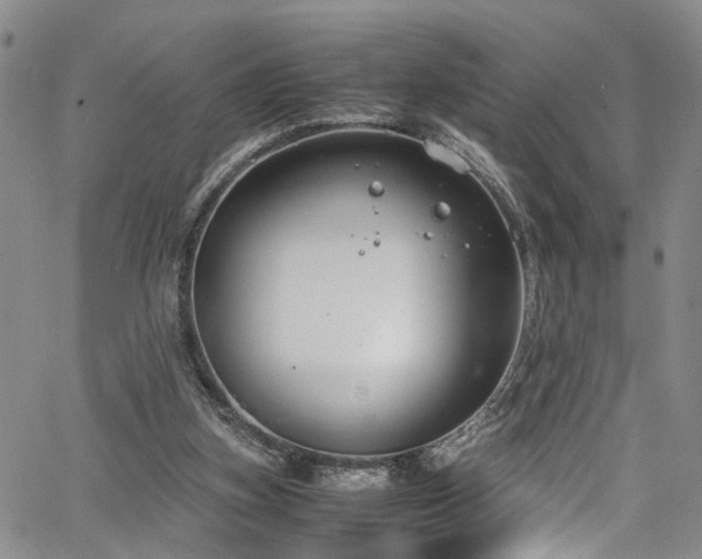 X0000064750155200602101221