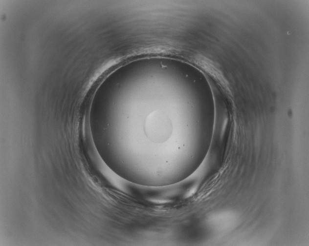 X0000064750156200602101221