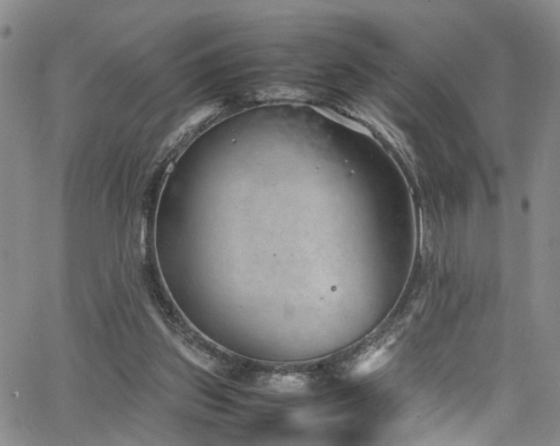 X0000064750157200602101221