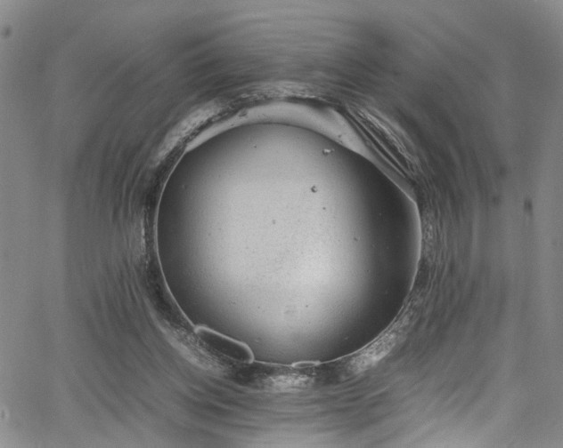 X0000064750158200602101221