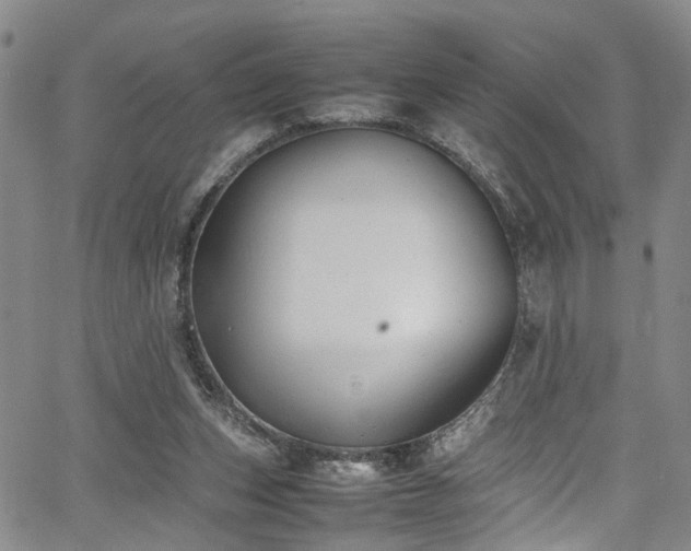 X0000064750159200602101222