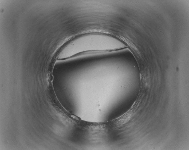 X0000064750160200602101222