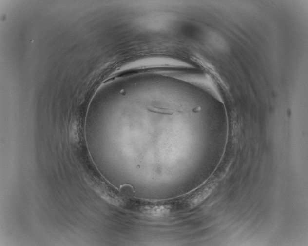 X0000064750161200602101222