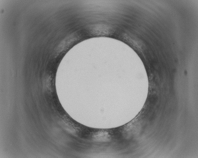 X0000064750162200602101222