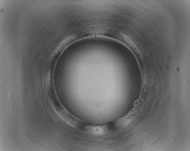 X0000064750163200602101222