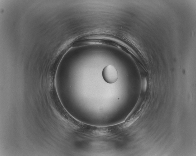 X0000064750164200602101222