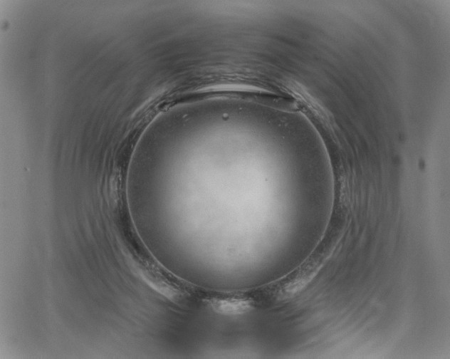 X0000064750165200602101222