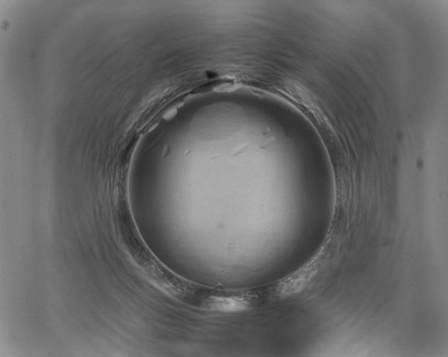 X0000064750167200602101222