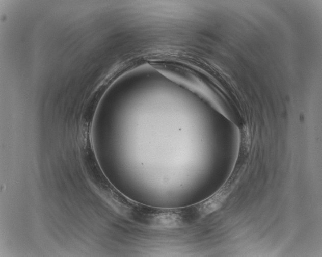 X0000064750168200602101222