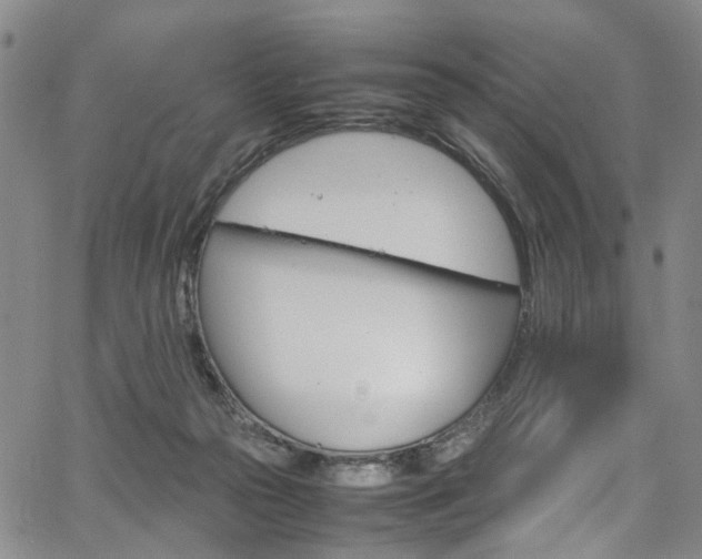 X0000064750169200602101222