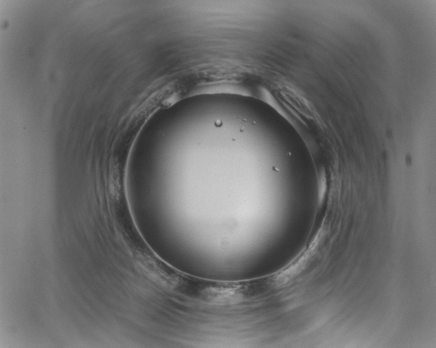 X0000064750170200602101222