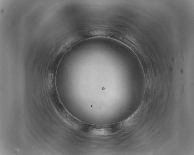 X0000064750171200602101222