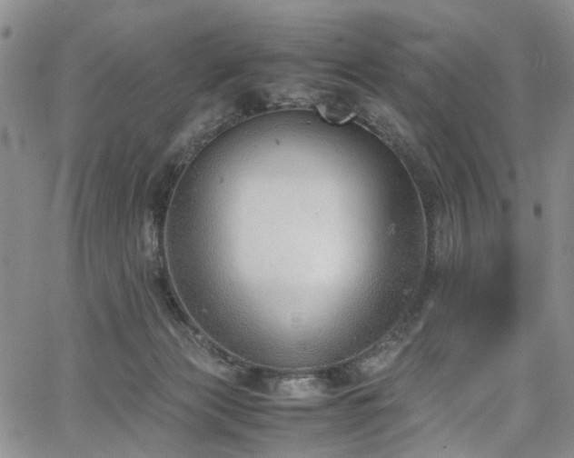 X0000064750173200602101222