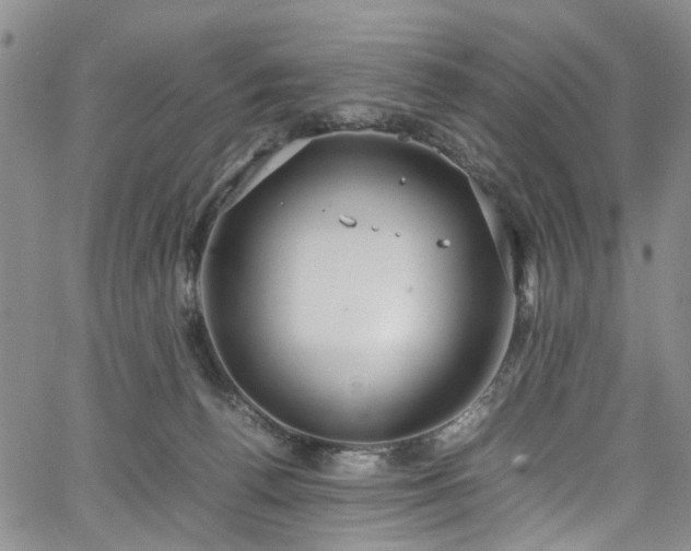 X0000064750176200602101222