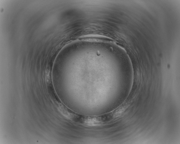 X0000064750177200602101222