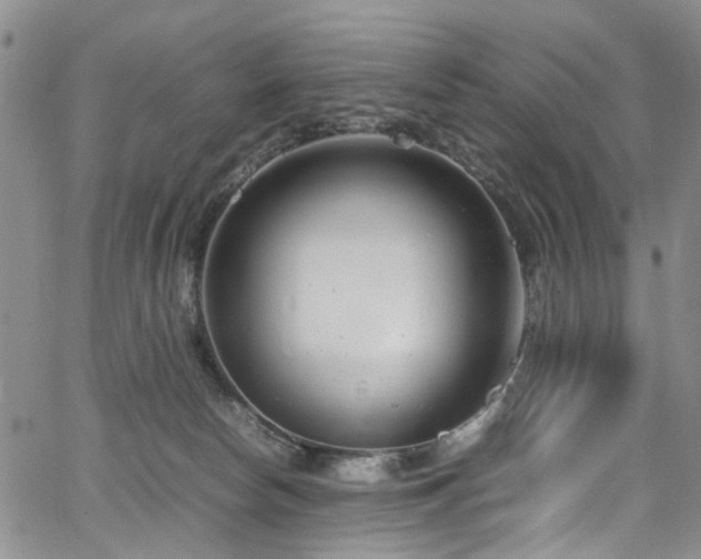 X0000064750178200602101222