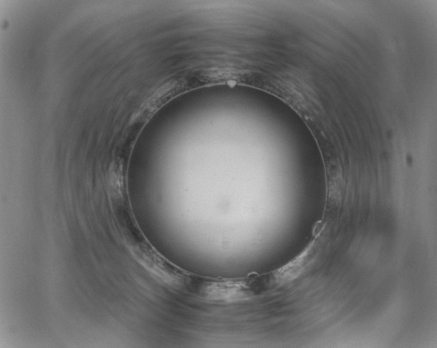 X0000064750179200602101222