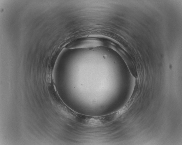 X0000064750180200602101222