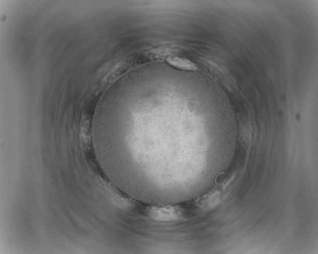 X0000064750181200602101222