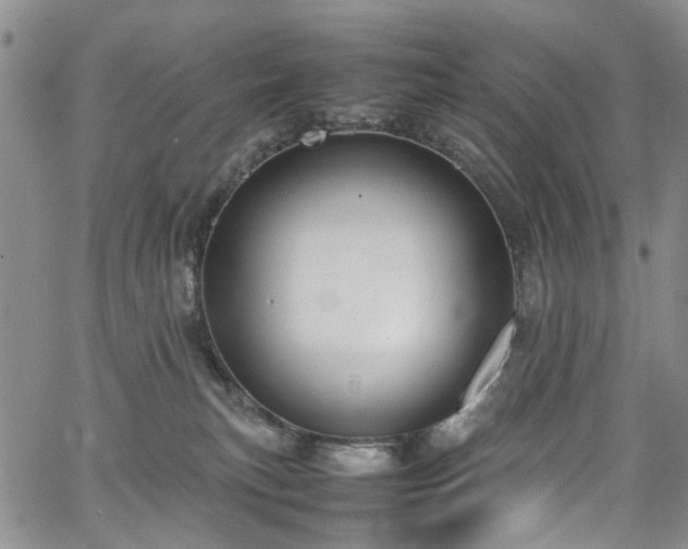 X0000064750183200602101222